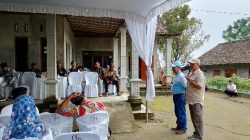 SWI Jateng Berikan Peluang Petani di Boyolali Menanam Singkong Gajah