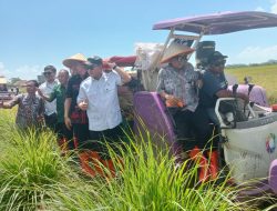 Inovasi Ganda di Jepara: Padi Tahan Rob dan Bahan Bakar dari Sampah Plastik