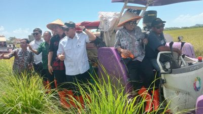 Inovasi Ganda di Jepara: Padi Tahan Rob dan Bahan Bakar dari Sampah Plastik