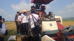 Panen Raya Padi di Desa Sangge: Kado Spesial Menyambut Hari Jadi Boyolali ke-179